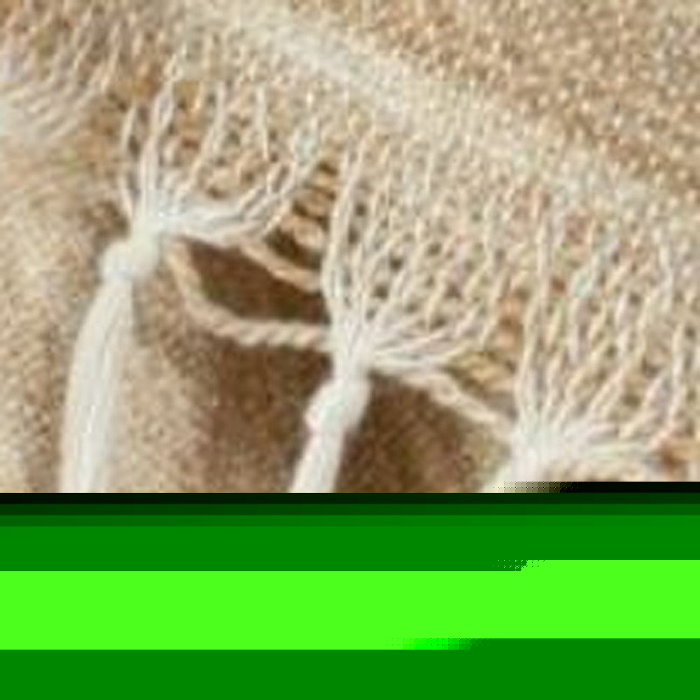 Beige Woven 100% Poly Pet Throw Blanket
