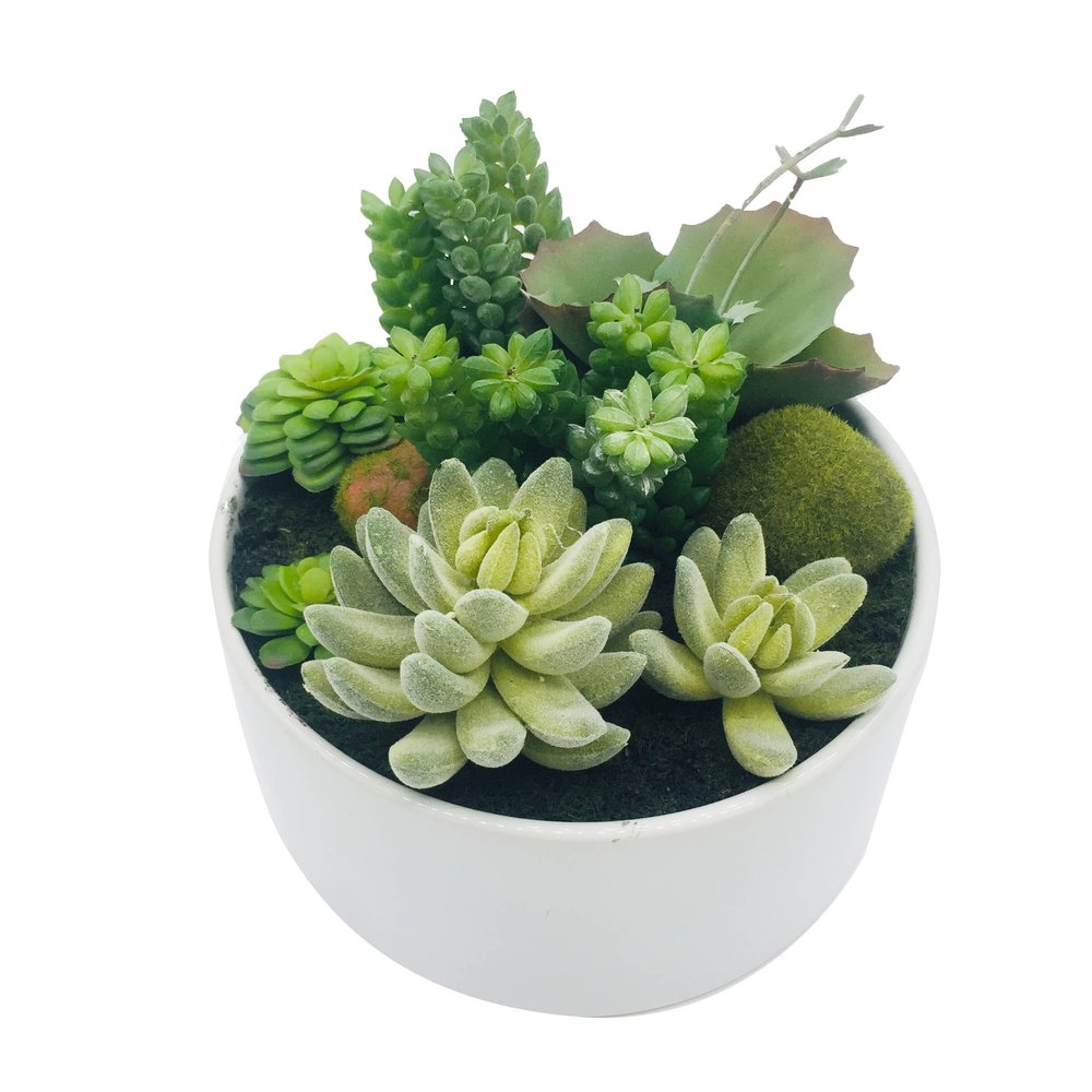 7" Green Artificial Succulent In A Round White Porcelain Planter