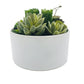 7" Green Artificial Succulent In A Round White Porcelain Planter