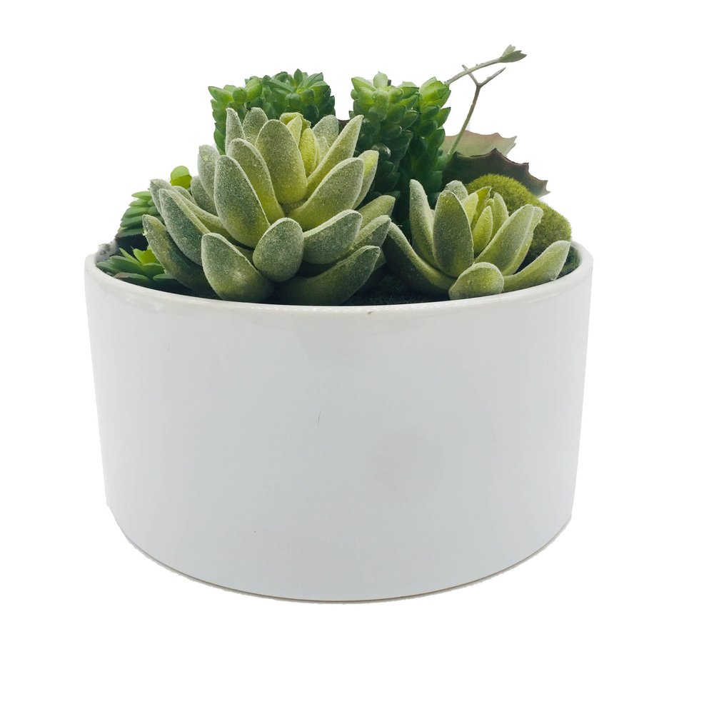 7" Green Artificial Succulent In A Round White Porcelain Planter