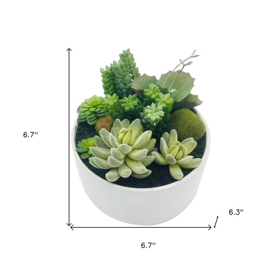 7" Green Artificial Succulent In A Round White Porcelain Planter
