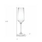 Set of Four Clear Tritan Plastic Stemmed Flute