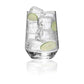 Set of Four Clear Tritan Plastic Stemless All Purpose Tumbler Wine Glasses
