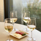 Set of Four Clear Tritan Plastic Stemmed All Purpose Wine Glass