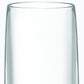 Set of Four Clear Tritan Plastic Stemmed Flute