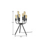24" Black Six Light Tripod Tripod Lamp