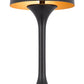 22" Black Metal Two Light Novelty USB Table Lamp With Black Dome Shade