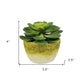 4" Green Artificial Succulent Succulent in a White And Yellow Pot