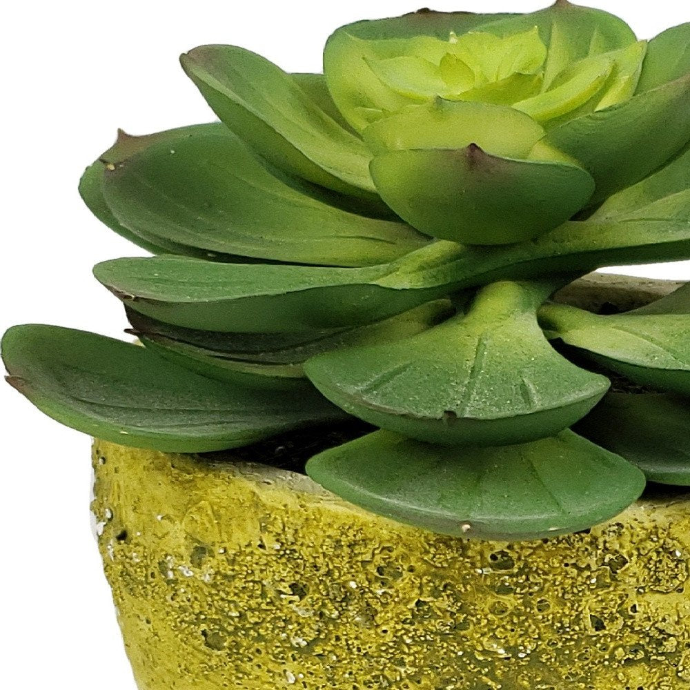 4" Green Artificial Succulent Succulent in a White And Yellow Pot