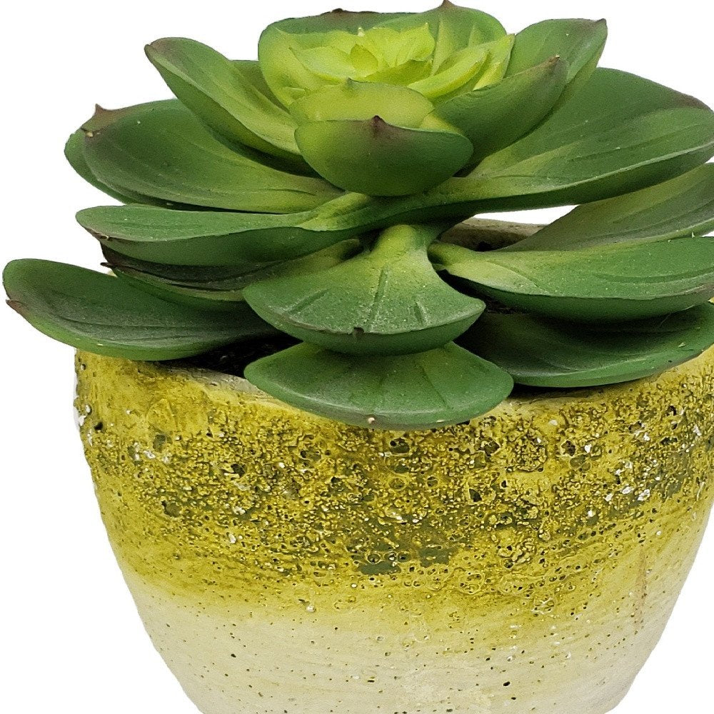 4" Green Artificial Succulent Succulent in a White And Yellow Pot