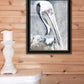 PELICAN Black Framed Print Wall Art