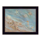 Seashore Star Black Framed Print Wall Art