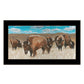 Bison Herd Black Framed Print Wall Art