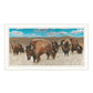 Bison Herd Black Framed Print Wall Art