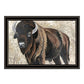 The Boss Bison Only Black Framed Print Wall Art