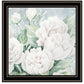 Peaceful Peonies In Full Bloom Black Framed Print Wall Art