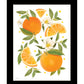 Citrus Orange Botanical Black Framed Print Wall Art
