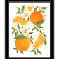 Citrus Orange Botanical Black Framed Print Wall Art