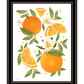 Citrus Orange Botanical Black Framed Print Wall Art