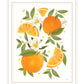 Citrus Orange Botanical Black Framed Print Wall Art