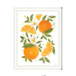 Citrus Orange Botanical Black Framed Print Wall Art