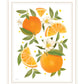 Citrus Orange Botanical Black Framed Print Wall Art