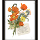 See You Grow Black Framed Print Wall Art