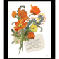 See You Grow White Framed Print Wall Art