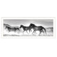 Horses Rolling By White Framed Print Wall Art