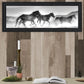 Horses Rolling By Black Framed Print Wall Art