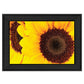 Sunflower Portrait Black Framed Print Wall Art