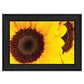Sunflower Portrait Black Framed Print Wall Art