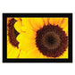 Sunflower Portrait Black Framed Print Wall Art