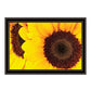 Sunflower Portrait Black Framed Print Wall Art