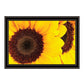 Sunflower Portrait Black Framed Print Wall Art