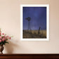 Starlit Night Black Framed Print Wall Art