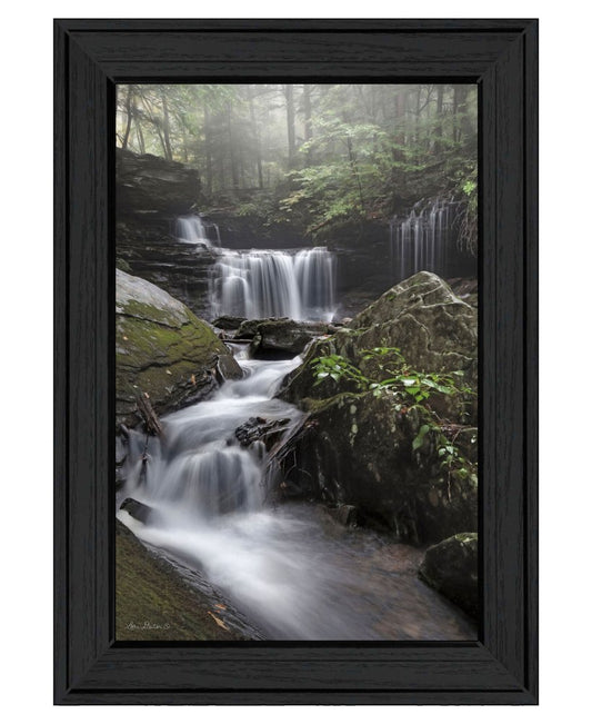 Ricketts Waterfall Black Framed Wall Art