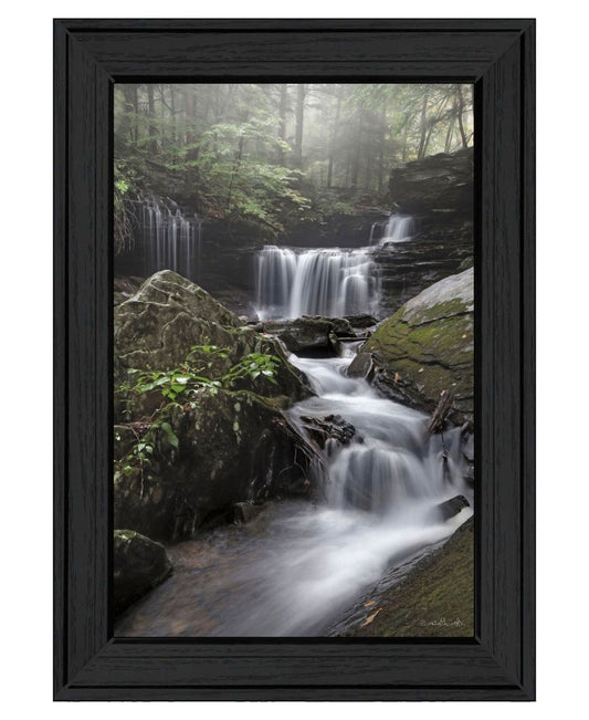 Ricketts Waterfall Black Framed Wall Art
