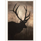 Elk Sunrise Black Framed Print Wall Art