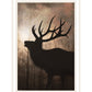 Elk Sunrise Black Framed Print Wall Art