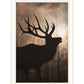 Elk Sunrise Black Framed Print Wall Art