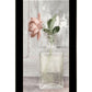 Cottage Peach Rose Black Framed Print Wall Art