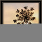 The First Day Black Framed Print Wall Art