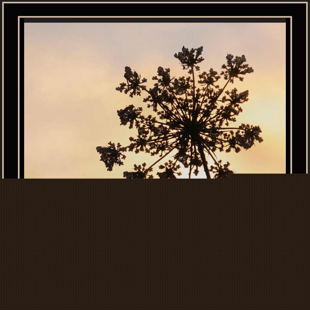 The First Day Black Framed Print Wall Art