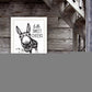 Hello Sweet Cheeks Donkey Black Framed Print Bathroom Wall Art