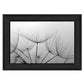 Love is a Delicate Flower Black Framed Print Wall Art