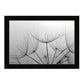 Love is a Delicate Flower Black Framed Print Wall Art