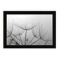 Love is a Delicate Flower Black Framed Print Wall Art