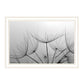 Love is a Delicate Flower Black Framed Print Wall Art