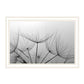Love is a Delicate Flower Black Framed Print Wall Art
